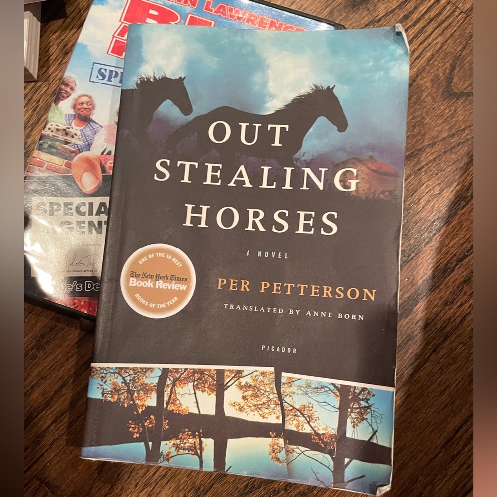 Out stealing horses book